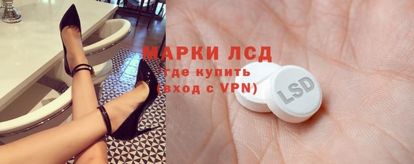 прущие грибы Горнозаводск