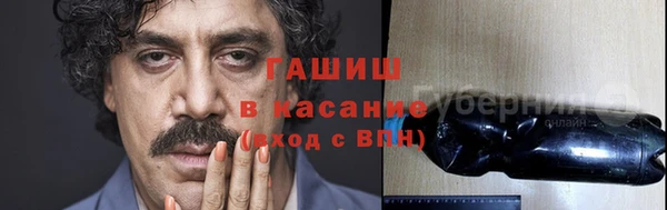 прущие грибы Горнозаводск