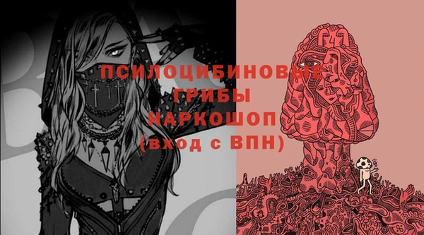 прущие грибы Горнозаводск