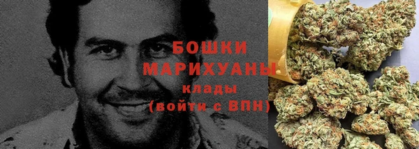 прущие грибы Горнозаводск