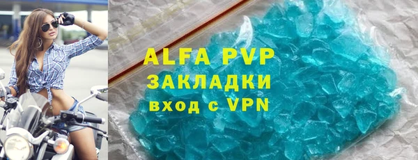прущие грибы Горнозаводск