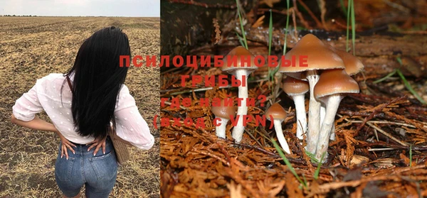 синтетический гашиш Ступино