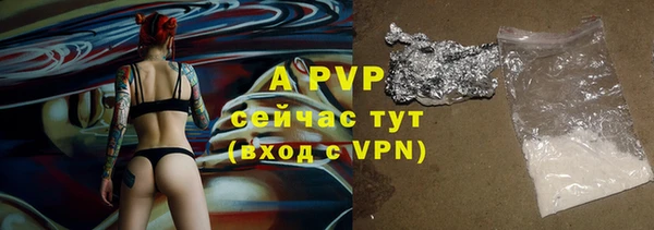 прущие грибы Горнозаводск
