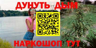 мяу мяу мука Гатчина