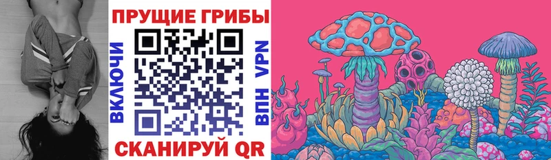 Псилоцибиновые грибы мухоморы omg маркетплейс Балашиха