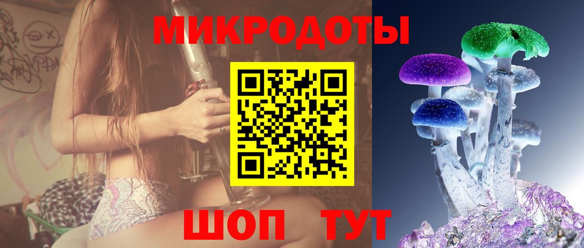 Балашиха  Галлюциногенные грибы Cubensis  Вход с VPN 