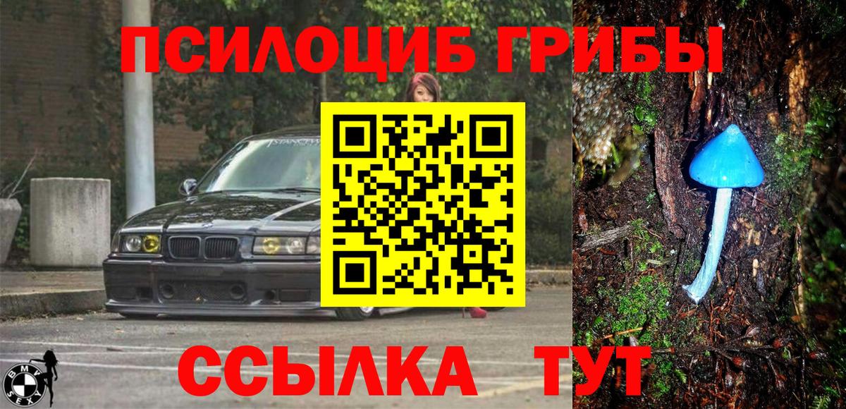 Галлюциногенные грибы мухоморы  Балашиха 